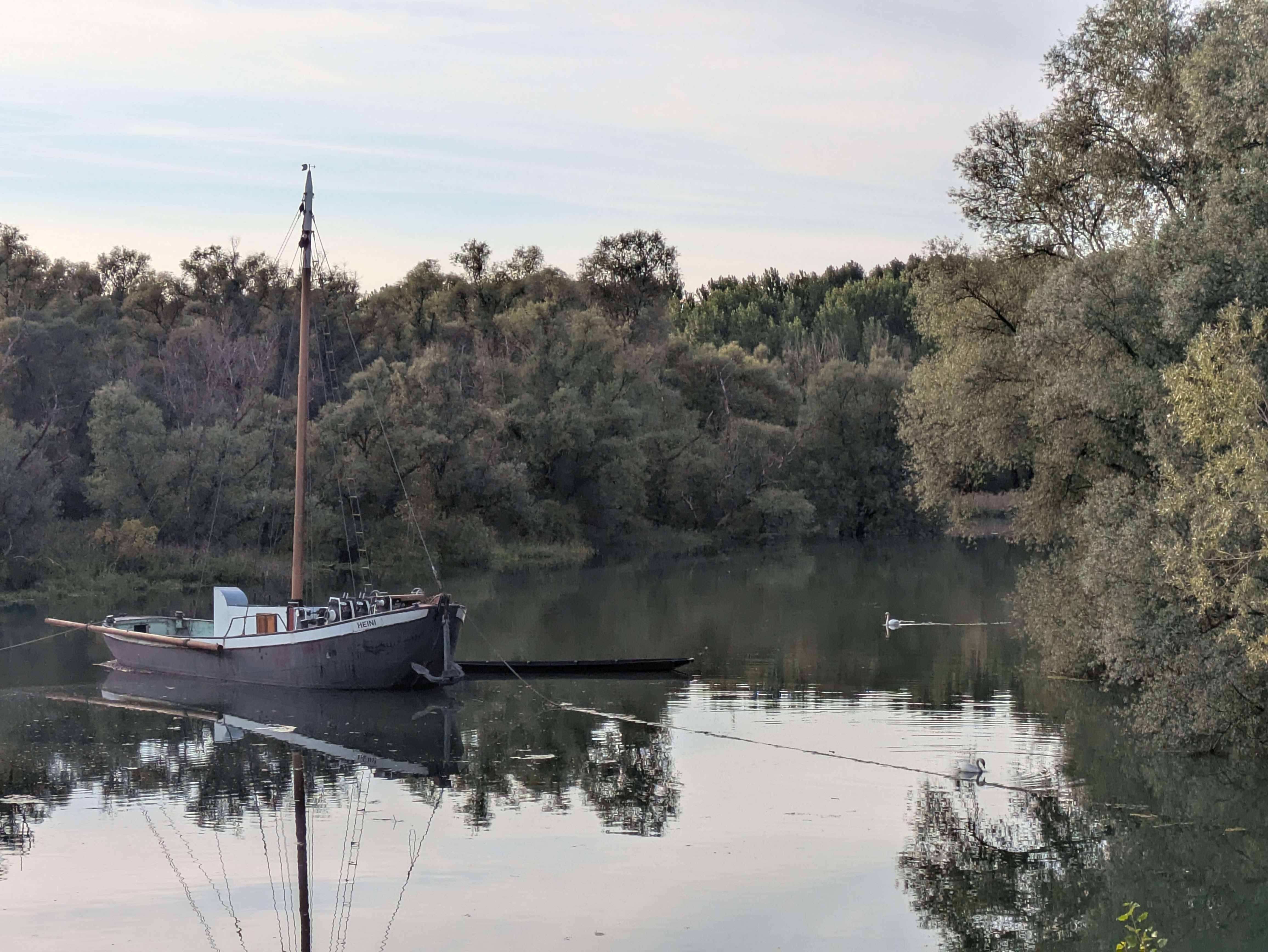 the "Aalschokker Heini"